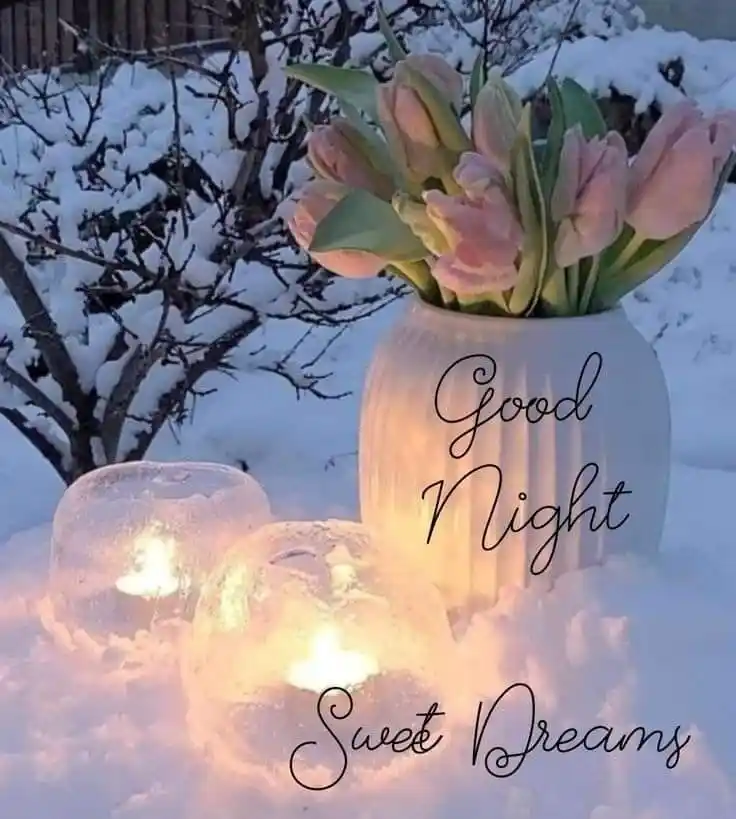 assalamualaikum good night images