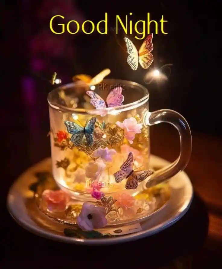 beautiful good night pic