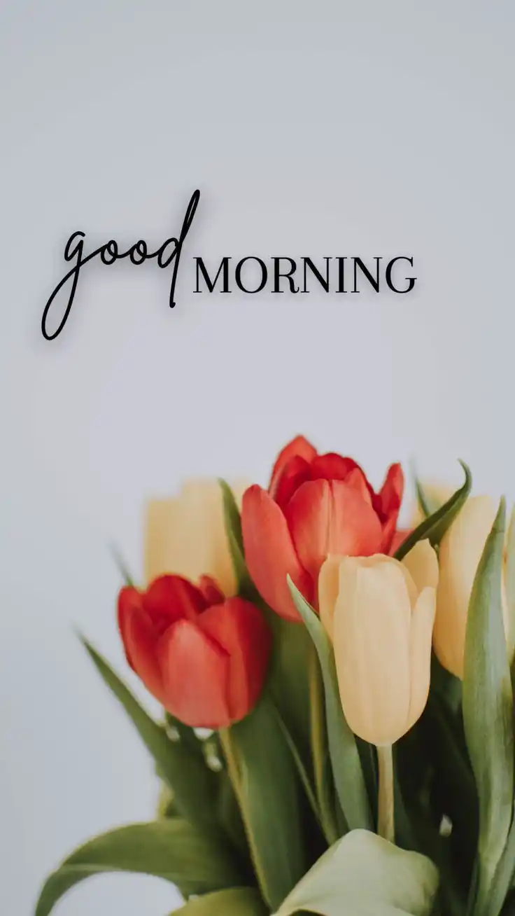 bengali good morning pic