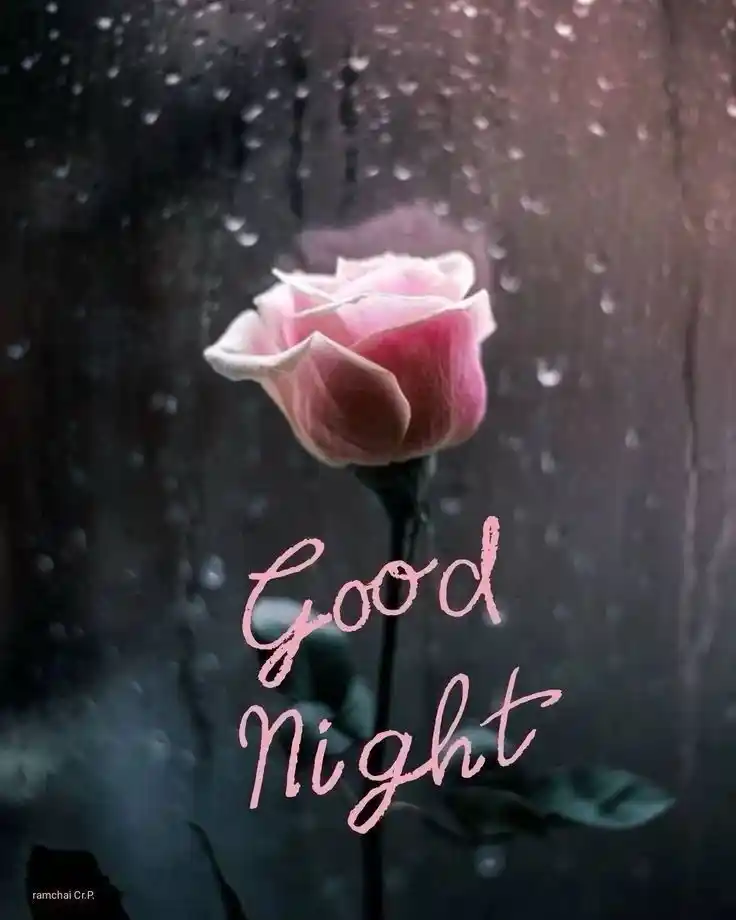best good night pic