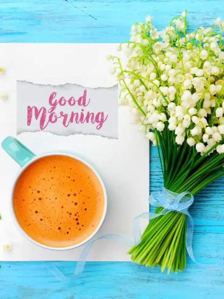 cute good morning pic