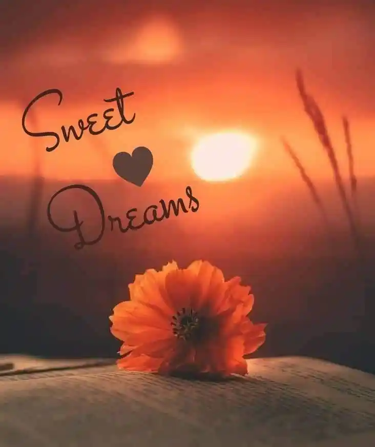 cute good night images