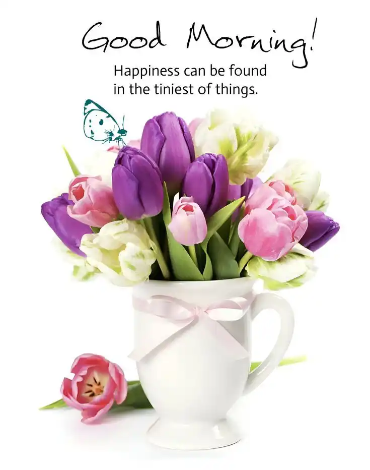 december good morning images