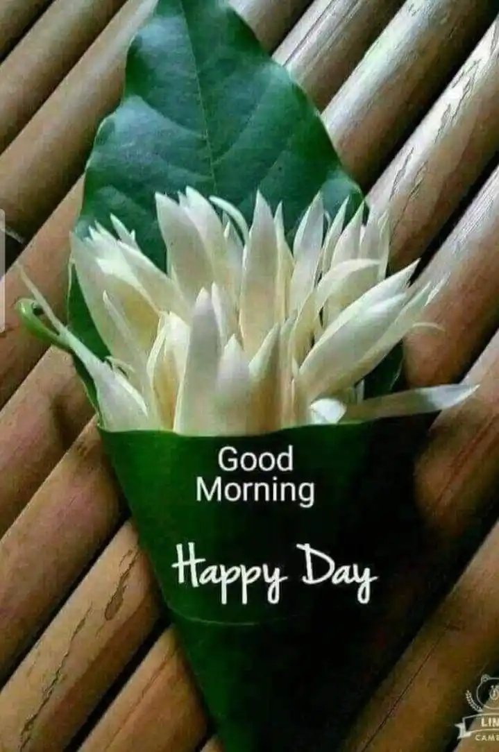 good morning images best