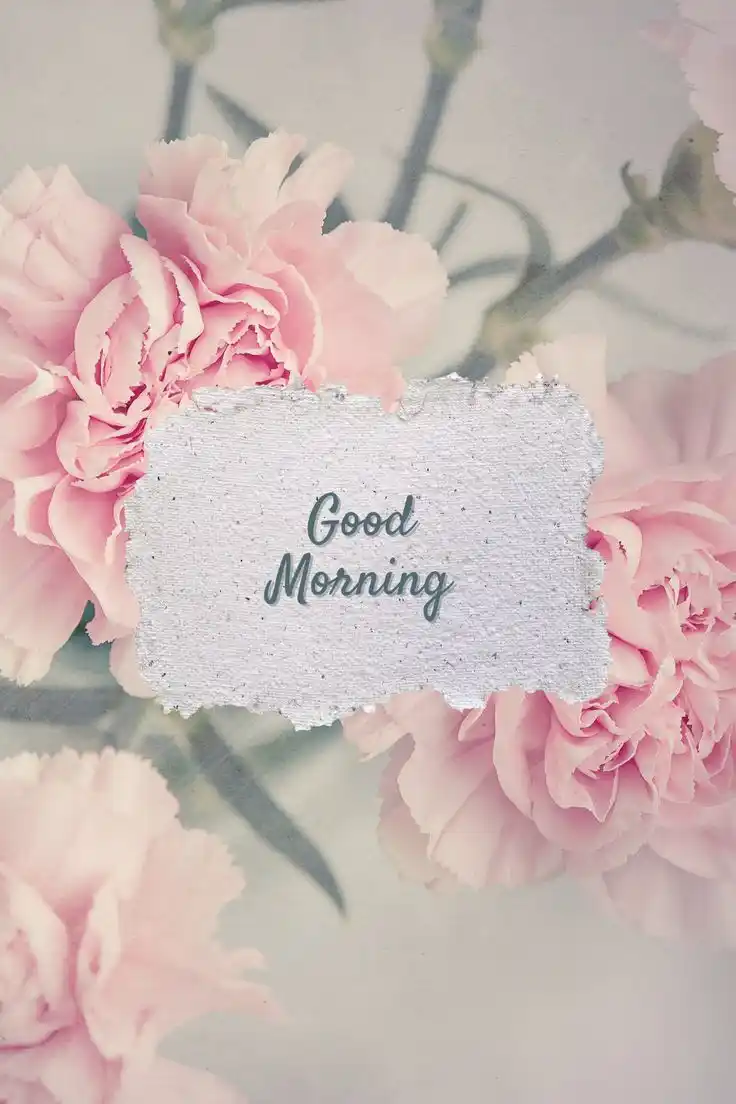 good morning images cute