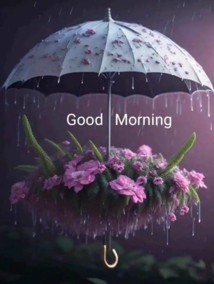 good morning photos buddha