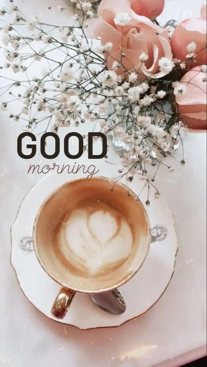 good morning pic animal