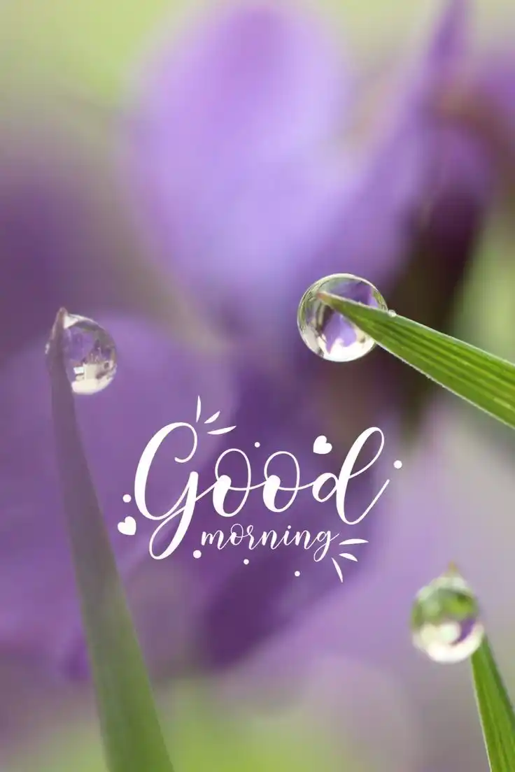 good morning pictures for her