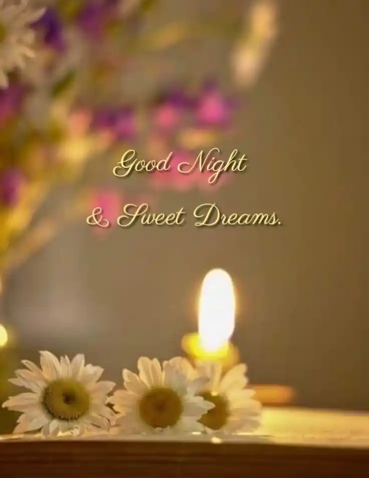 good night animated picture