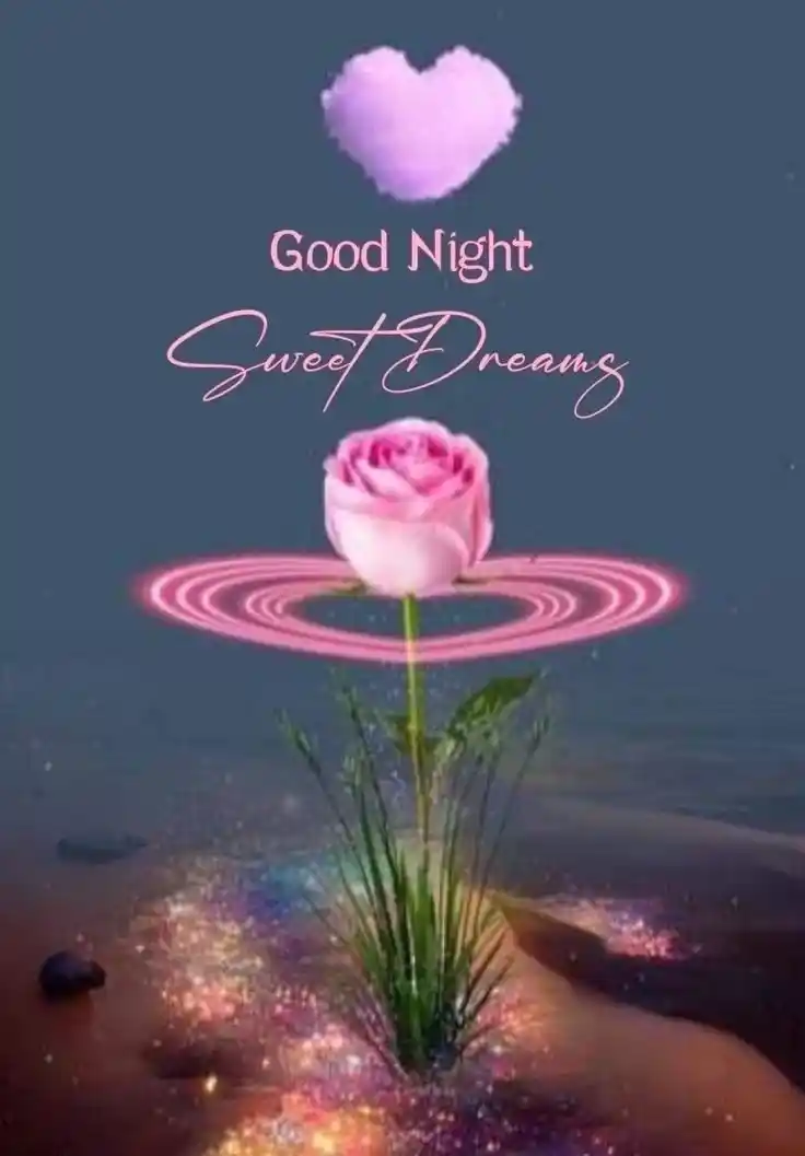 good night images cute animals