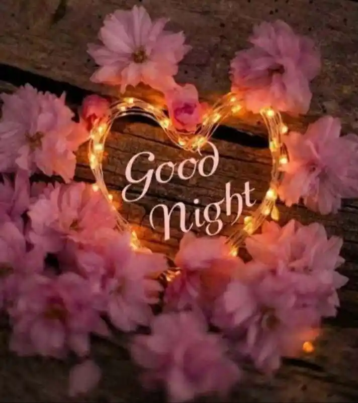 good night images funny