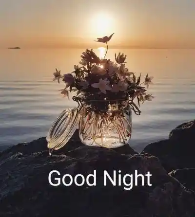 good night images with quotes