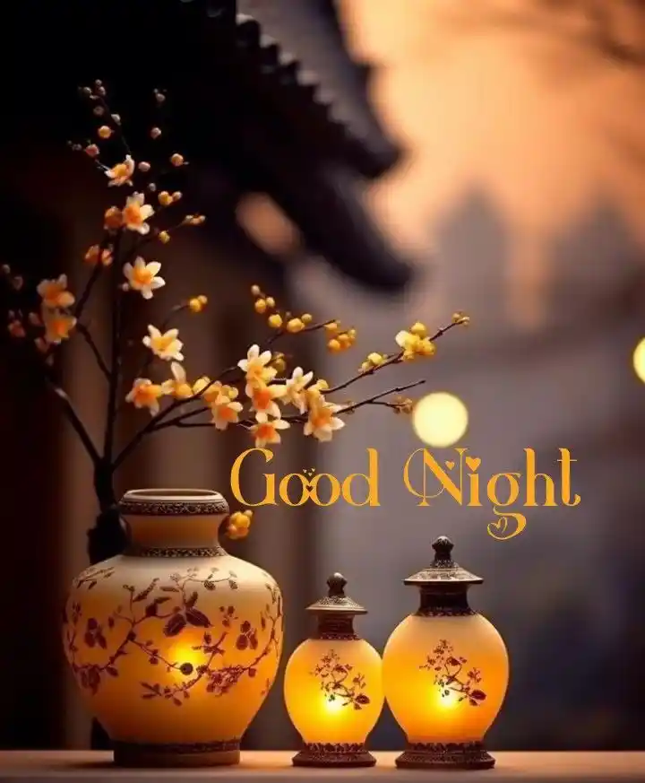 good night photo bengali