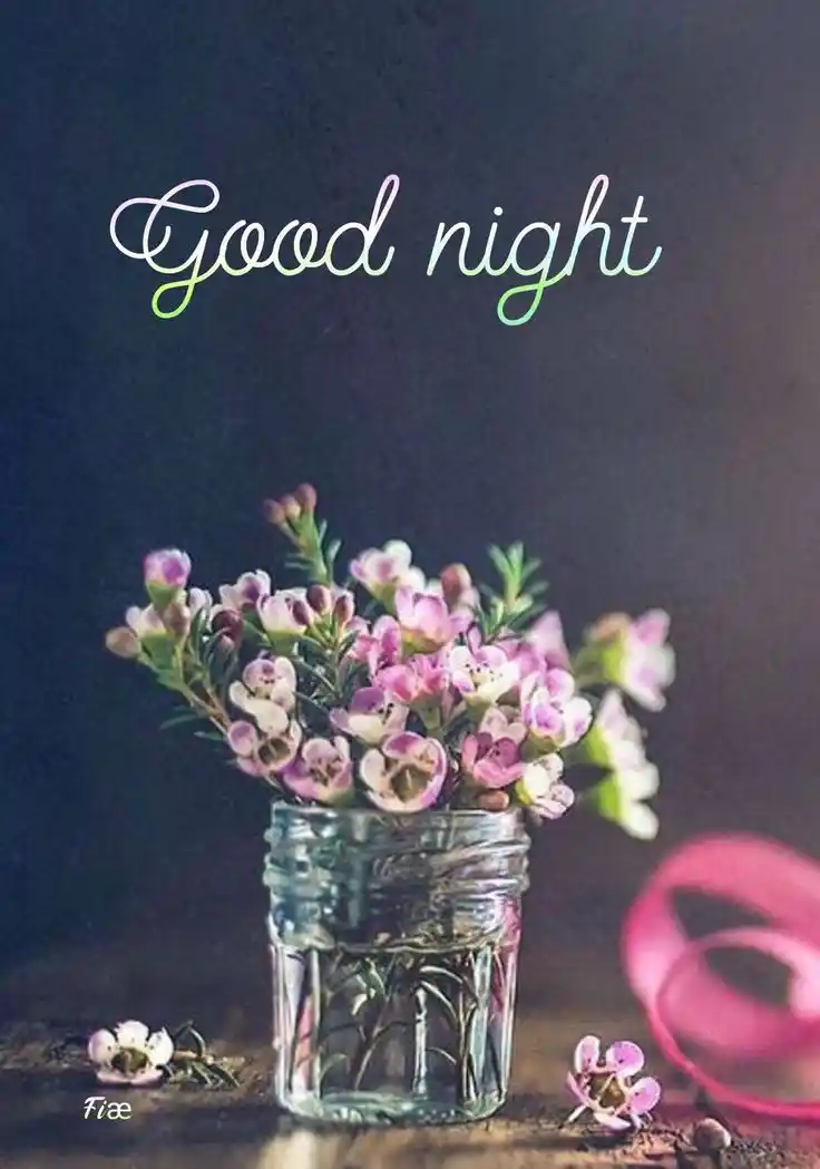 good night pic funny