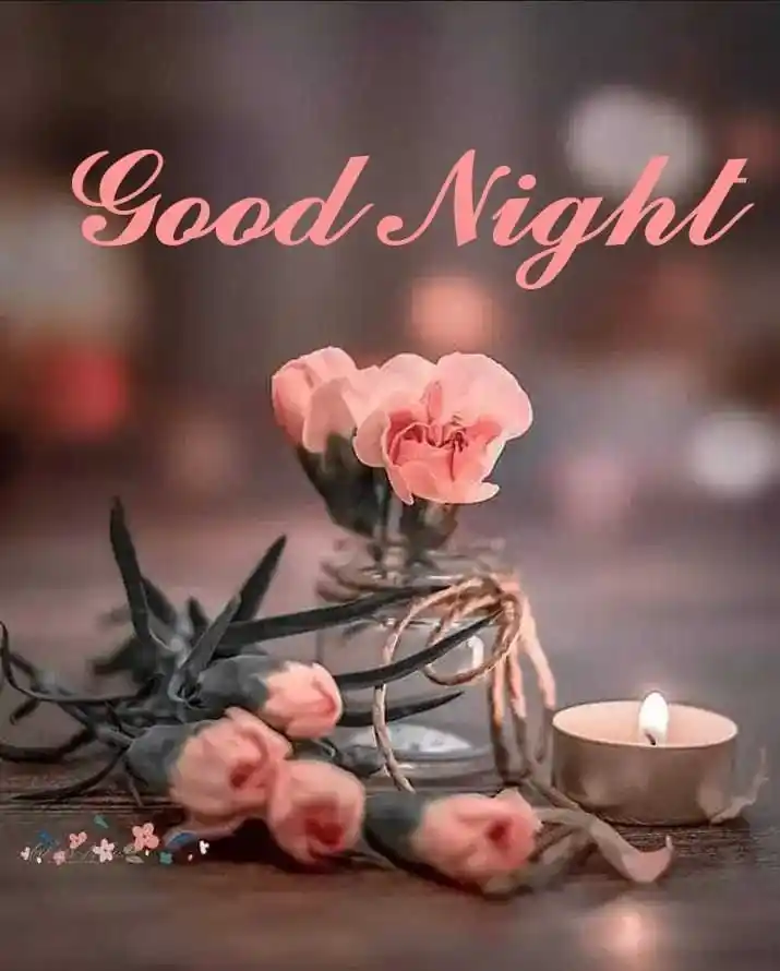 romantic good night pictures