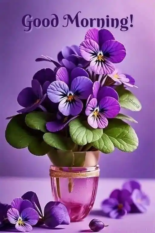 saturday good morning images